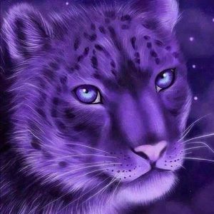 Meet your Posher, Elaine